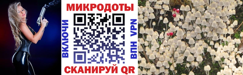Купить где  Дмитриев  Галлюциногенные грибы Magic Shrooms 